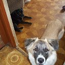 ���� ���������, ������, 75 ��� - ��������� 22 ������ 2013 � ������ ���� ����������