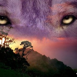 ���� �����, ������������, 45 ��� - ��������� 7 ����� 2014