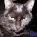 ���� ��, �����, 57 ��� - ��������� 24 ������ 2014 � ������ ���� ����������