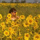 ���� �������, ���������, 51 ��� - ��������� 11 ������� 2013 � ������ ���� ����������