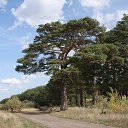 ������� �� ������� ���� ����������