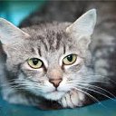 ���� �������, �����-��������� - ��������� 11 ������� 2013 � ������ ���� ����������