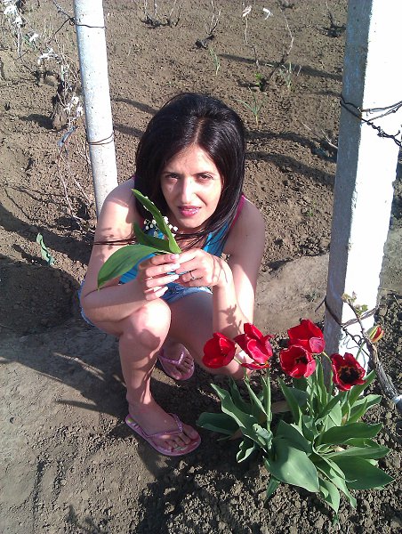  : Moi liubimie landishi i tiulipani u menea na dace!!!!!!!!!! - ( Super Star) ))), 