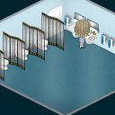 ���� ����, ������-��-����, 34 ���� - ��������� 17 ������� 2013 � ������ �Tropikania�