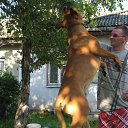 ���� Deniss, �������, 46 ��� - ��������� 5 ������� 2013 � ������ ���� ����������