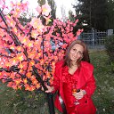  Nina, , 50  -  27  2013