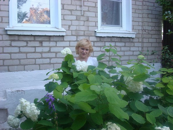  :  -  ., 58 , 