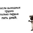 ���� *����, ��������, 59 ��� - ��������� 6 ������ 2014 � ������ ������ ��������