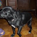 ���� ���������, ������, 75 ��� - ��������� 22 ������ 2013 � ������ ���� ����������