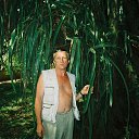 ������ �� ������� ���� ����������