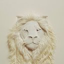 ���� ���, ����, 64 ���� - ��������� 28 ������� 2013