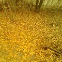 ���� C���, ������������, 56 ��� - ��������� 31 ������� 2013 � ������ ���� ����������