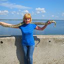 ���� �����, ������-���, 62 ���� - ��������� 19 �������� 2013 � ������ ���� ����������