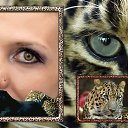 ���� ��������, ����, 55 ��� - ��������� 28 ������ 2014 � ������ ���� ����������