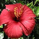 ���� Valen- @Tina Jordan@ "������ �������", ������ - ��������� 13 ������� 2013 � ������ ������ �� ������� ����� � �������!�