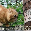 ���� ���, ������� - ��������� 4 ������ 2014 � ������ ���� ����������