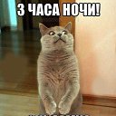 ���� �����, ������, 46 ��� - ��������� 29 ������ 2014 � ������ ���� ����������