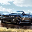 ���� �����, �������� - ��������� 7 ������� 2013 � ������ ���� ����������