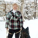 ������ �� ������� ���� ����������