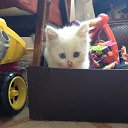 ���� Serik, ������ - ��������� 18 ������� 2013 � ������ ���� ����������