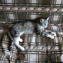 ���� �����, ������� - ��������� 3 ����� 2014 � ������ ���� ����������