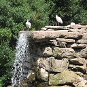 ���� �������, ����������� - ��������� 3 ������ 2013 � ������ ���� ������ �������� (��������, �������)�