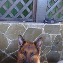 ����� �� ������� ���� ����������