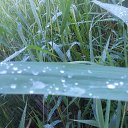 ���� Neznakomka, ������� - ��������� 12 ������� 2013 � ������ ���� ����������