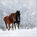 ���� ������, ������, 45 ��� - ��������� 17 ������ 2014