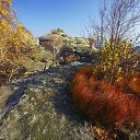  Sergey, , 54  -  31  2013    