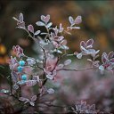 ���� ������ 72, ������������, 53 ���� - ��������� 30 ������� 2013 � ������ ������� �������