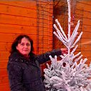 ���� ����, ����� - ��������� 22 ������� 2013 � ������ ���� ����������