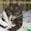 ���� ������, �������� - ��������� 13 ����� 2014 � ������ ������ ��������