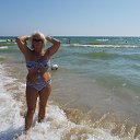 2013 ����� �� ������� ���� ���� ������