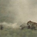  Loseff Yurij, , 63  -  21  2014       google+