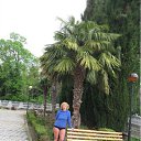 ���� Svet@, �����������, 85 ��� - ��������� 17 ������� 2013 � ������ ���� ����������