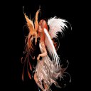 ���� ���������, �����������, 39 ��� - ��������� 11 ������ 2013 � ������ ��������� ���