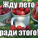 ���� ����������, �������, 38 ��� - ��������� 16 ������� 2014 � ������ ���� ����������