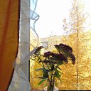 ���� M���, �����-��������� - ��������� 31 ������� 2013 � ������ ��� ����.�