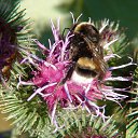 ���� ��������, �����-��������� - ��������� 21 �������� 2013 � ������ ���� ����������