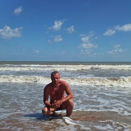 ������, ����, 51 ���