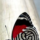 ���� ���, ������ - ��������� 19 ������ 2014