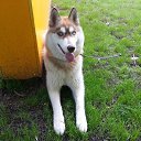 ���� Alexsandra, ������, 30 ��� - ��������� 13 �������� 2013 � ������ ���� ����������