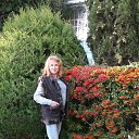 ���� �������, ����������, 66 ��� - ��������� 30 ������� 2013 � ������ ���� ����������