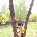  , , 36  -  28  2013   )