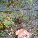 ���� �����, ������, 48 ��� - ��������� 23 �������� 2013