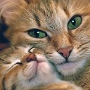 ���� �������, �����-��������� - ��������� 11 ������� 2013 � ������ ���� ����������