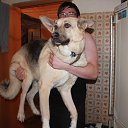 ���� ���������, ������, 41 ��� - ��������� 6 �������� 2013 � ������ ���� ����������