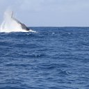 �������� �������� �������� ����� �� ����������, ����� ������� ����������� �� ������� ���� ����������