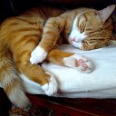 �� ���� �� ��� �� ����.. �� ������� ���� �� ����